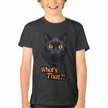 What’s That?! Surprised Black Cat with Orange Eyes