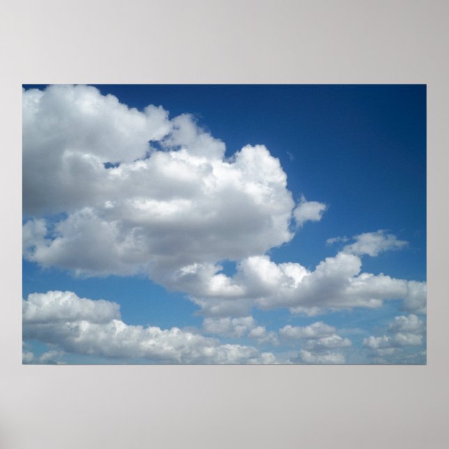 What shapes do you see? poster (Front)