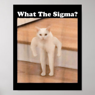 What Sigma Meme Cat Meme Internet Memes Funny Meme Poster