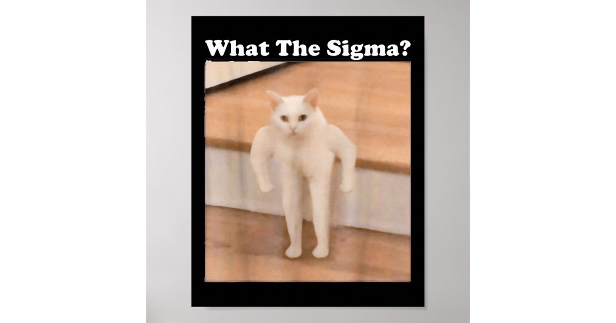 Sigma Goose What Sigma Meme Cat Meme Internet Memes Funny Meme Poster | Zazzle