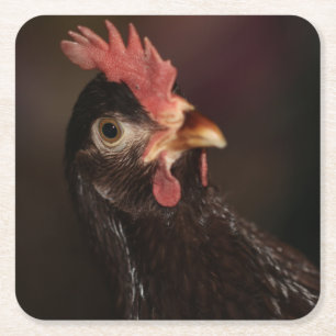 What? Square Paper Coaster