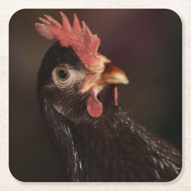 What? Square Paper Coaster (Front)