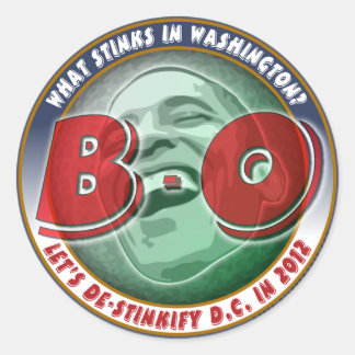 What Stinks in Washington? Classic Round Sticker