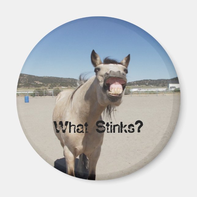 What Stinks? Magnet (Front)