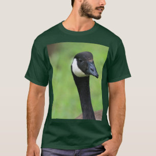 What T-Shirt