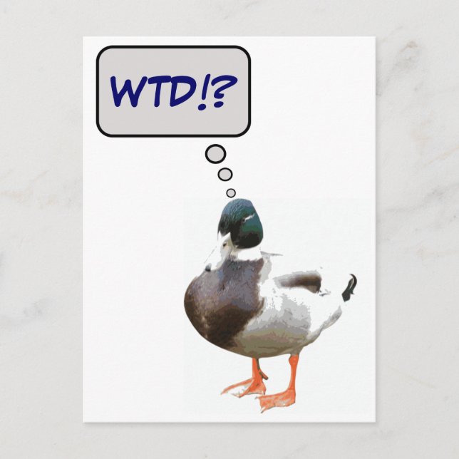 What The Duck WTD Funny Postcard (Front)