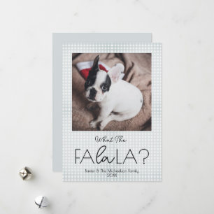 What The FaLaLa Funny Pet Christmas Holiday Card