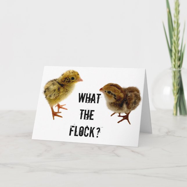 What the Flock?, Baby Quail Chick Card (Front)