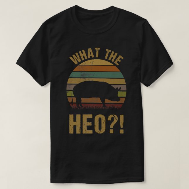 What The Heo Funny Vietnamese Viet Asian Pig Pun V T-Shirt (Design Front)