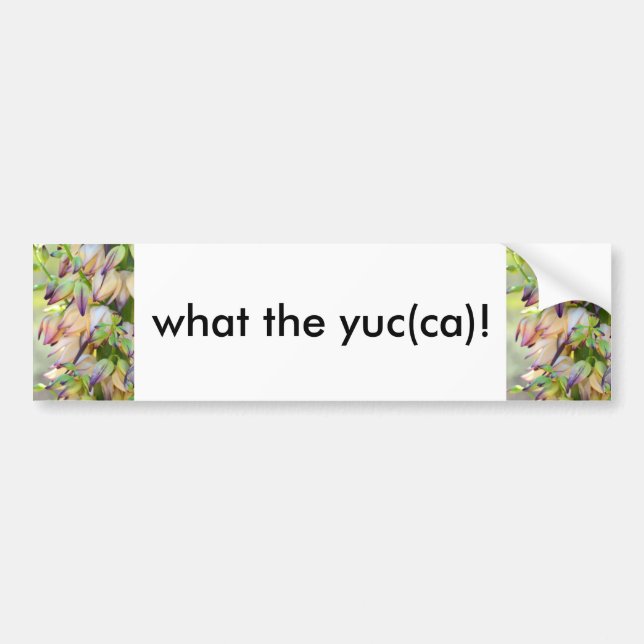 what the yuc(ca) bumper sticker (Front)