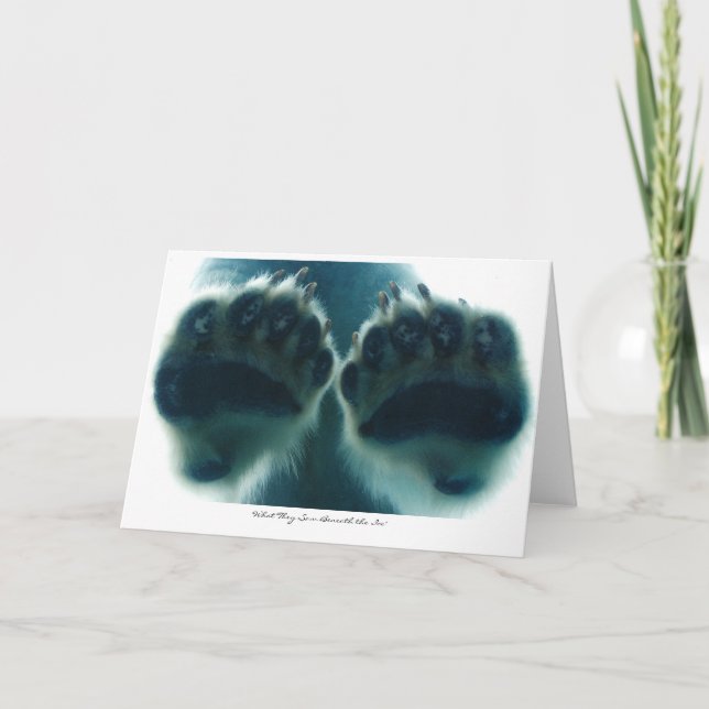 What They Saw Beneath the Ice Card (Front)