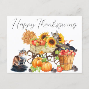 What Turkey? Innocent Cats Thanksgiving Postcard