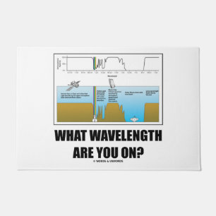 What Wavelength Are You On? Psyche Geek Humour Doormat