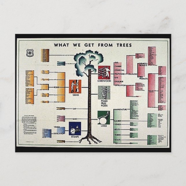 What We Get From Trees Postcard (Front)
