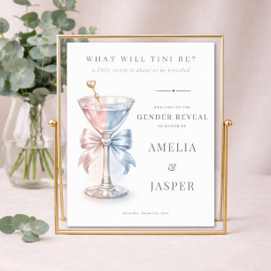 What Will Baby Be Gender Reveal Shower Welcome Poster