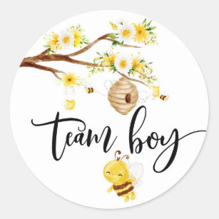 What will baby bee team boy stickers
