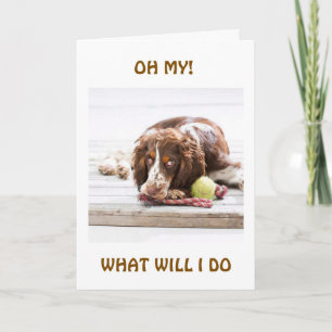WHAT WILL I DO "WITHOUT YOU?" CARD