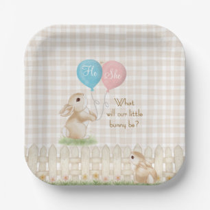 What Will Our Little Bunny Be?  Gender Reveal Paper Plate