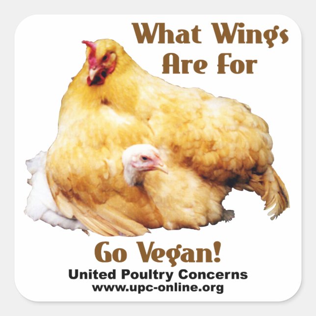 What wings Are For - Go Vegan Square Sticker (Front)