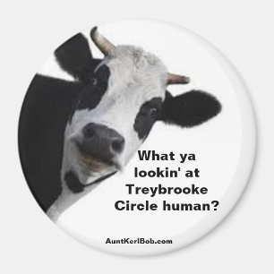 What ya lookin' at Treybrooke Circle human? Magnet