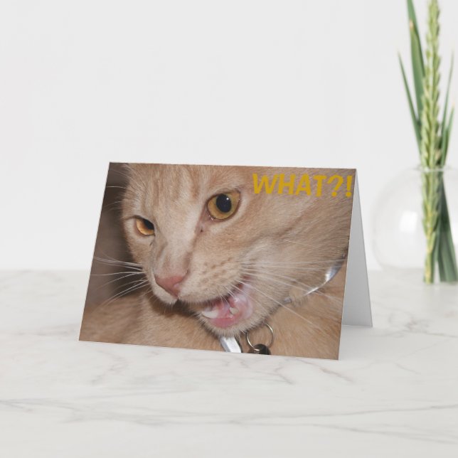 WHAT?! You're THAT old?! Card (Front)