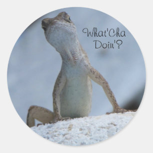 What'Cha Doin? Brown Anole Lizard Sticker