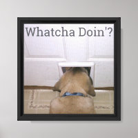 Whatcha Doin'?