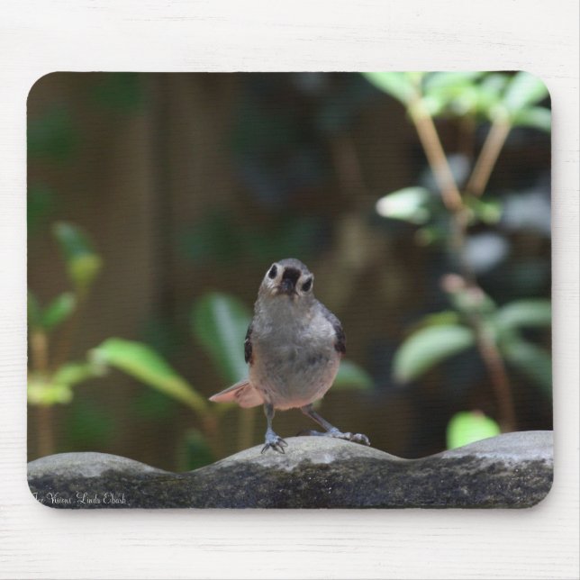 Whatcha Doin Mouse Pad (Front)