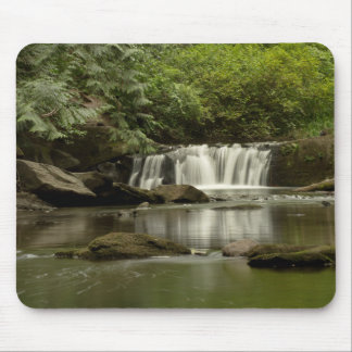 Whatcom Falls Park Mouse Pad