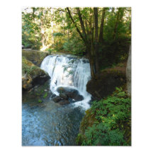 Whatcom Falls Park