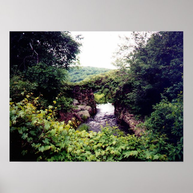 What's Ahead Poster (Front)