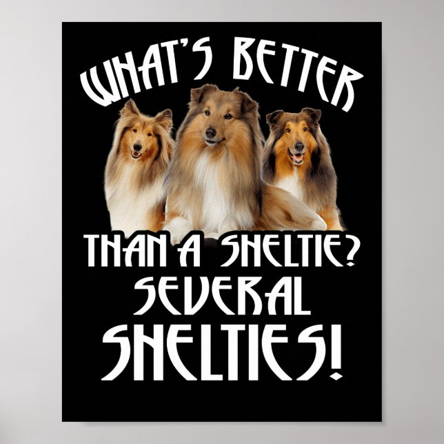What's Better Than A Sheltie Several Shelties! Poster (Front)