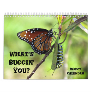 What's Buggin' You - Insect Calendar - Edition 1