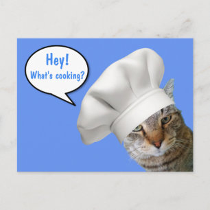 What's Cooking? Chef Cat Postcard