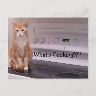 What's Cooking??!! Postcard