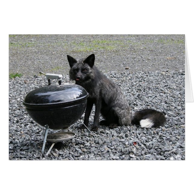 What's for Dinner? (Front Horizontal)