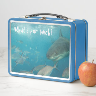 What's For Lunch? Funny Great White Shark Metal Lunch Box