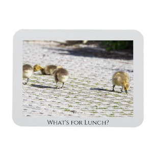 What's for Lunch Magnet