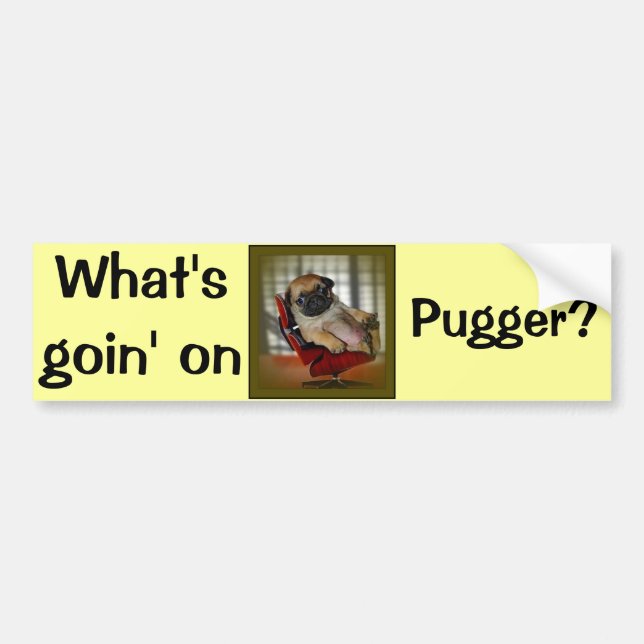 What's Goin on Pugger? Bumper Sticker (Front)