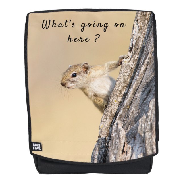 What's going on here squirrel photo with text backpack (Front)