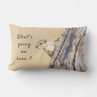What's going on here squirrel photo with text lumbar cushion