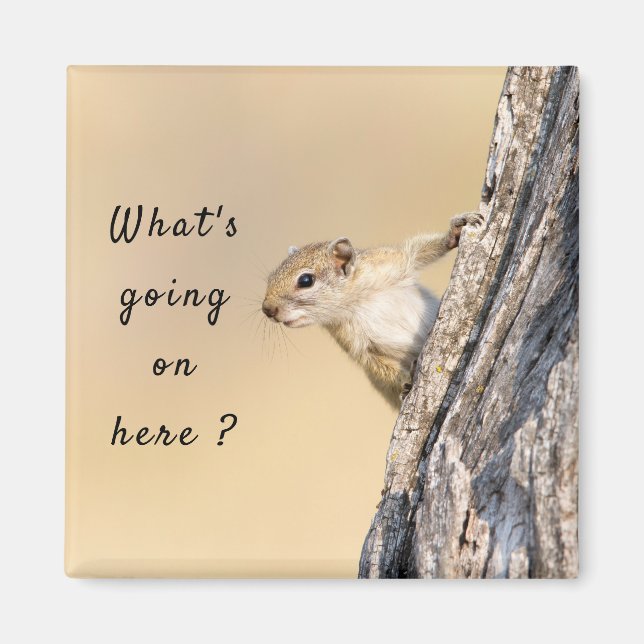 What's going on here squirrel photo with text magnet (Front)