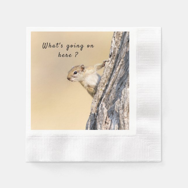 What's going on here squirrel photo with text napkin (Front)