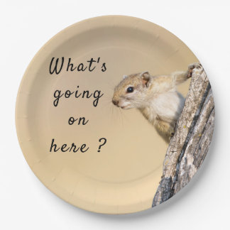 What's going on here squirrel photo with text paper plate