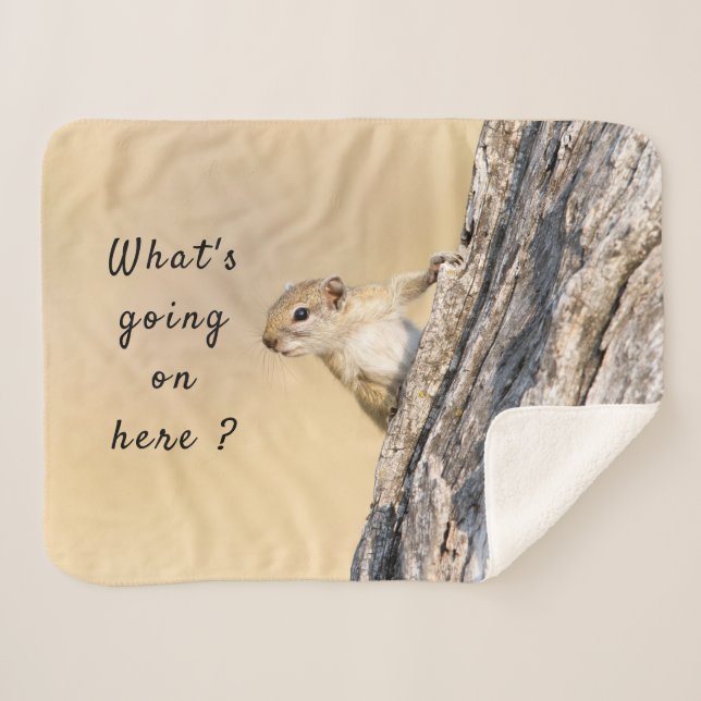 What's going on here squirrel photo with text sherpa blanket (Front (Horizontal))