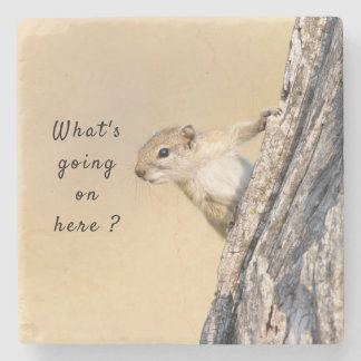What's going on here squirrel photo with text stone coaster