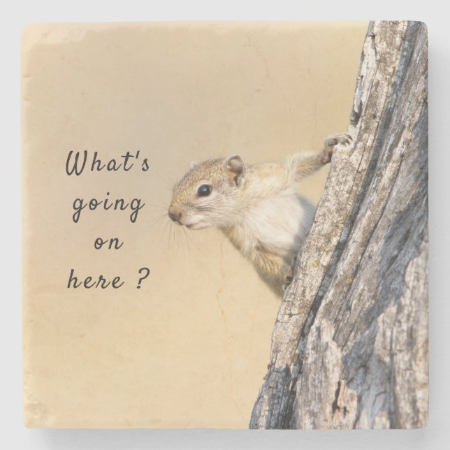 What's going on here squirrel photo with text stone coaster (Front)