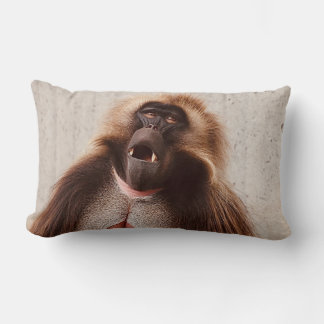 What's going on lumbar cushion