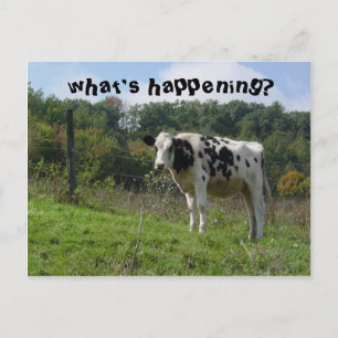 what's happening? postcard