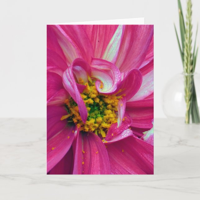 What's in the Frames? #4 Card (Front)